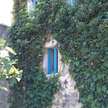 度假居 The Old Traditional Hause